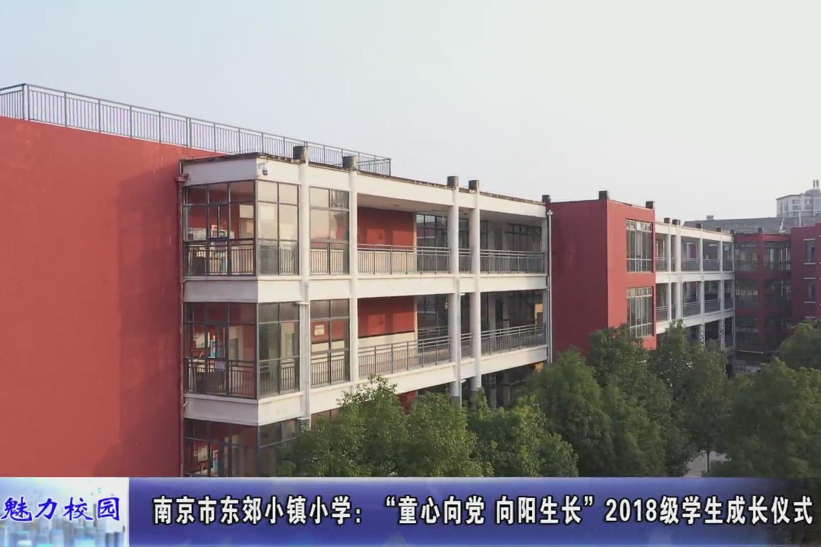 动态丨南京市东郊小镇小学"童心向党 向阳生长"学生成长仪式