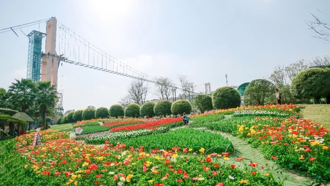 春意盎然醉美漫花"爱成都 迎大运"漫花庄园国际写生活动