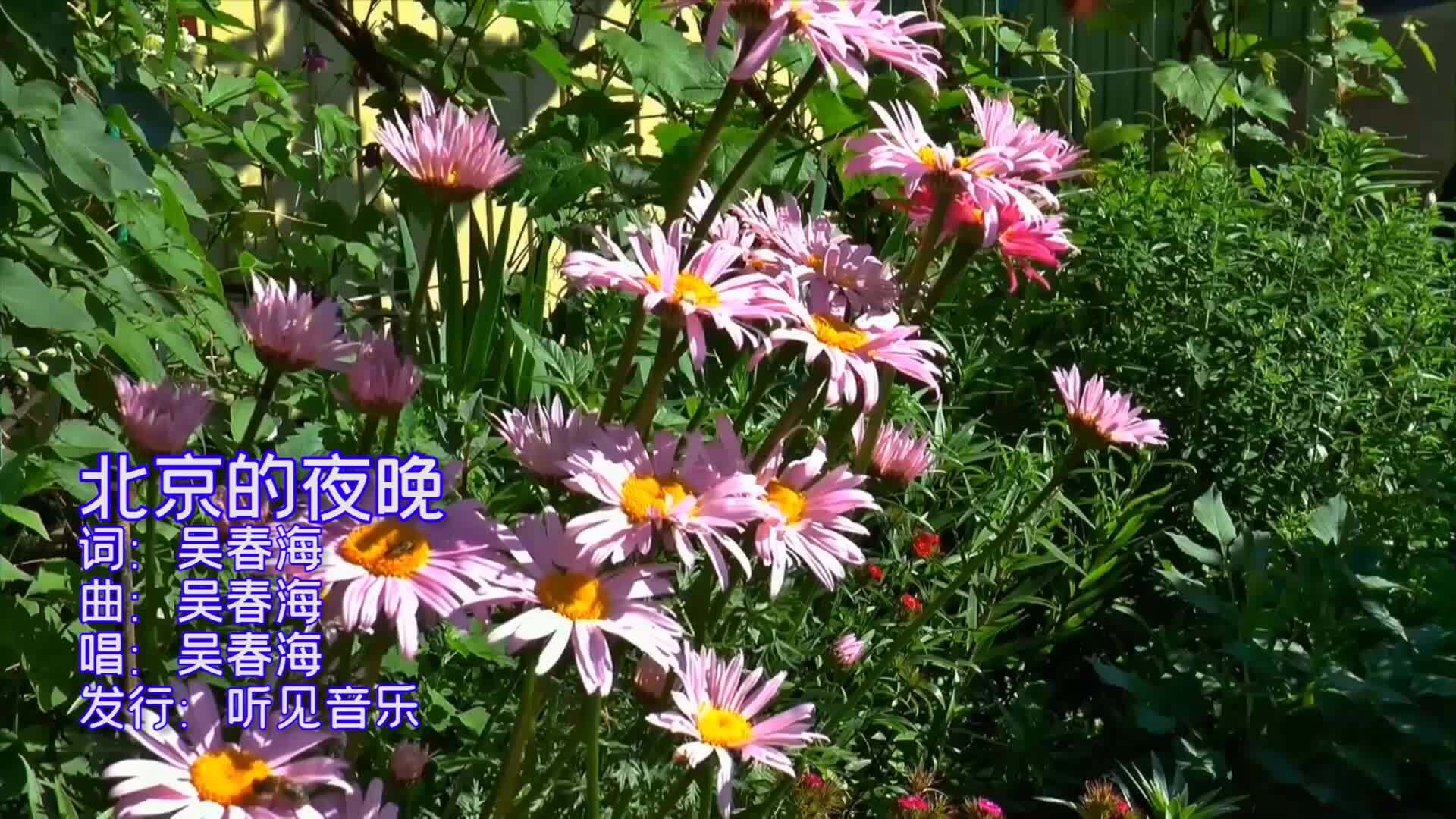 吴春海《北京的夜晚》mv饭制版