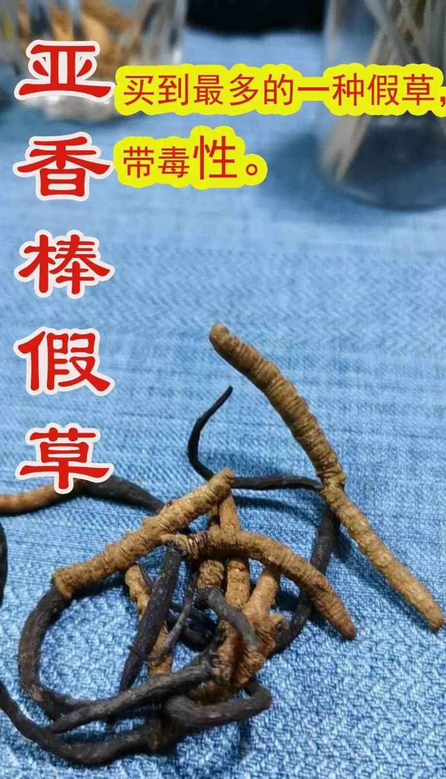 很多商家会混淆正宗冬虫夏草来卖,但是亚香棒虫草是有毒的,长期服用很