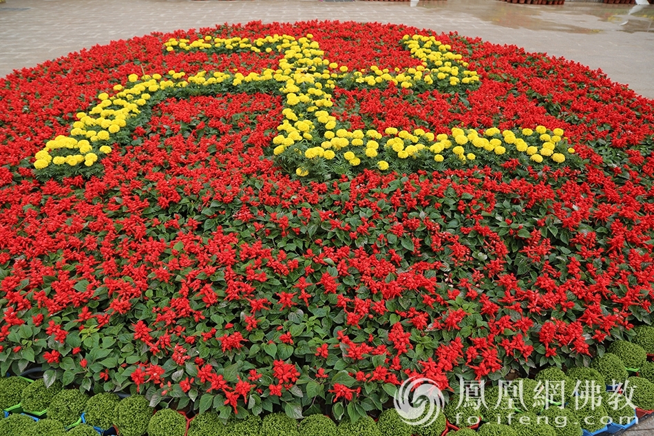 精心摆放的鲜花(图片来源:凤凰网佛教 摄影:华严禅寺)