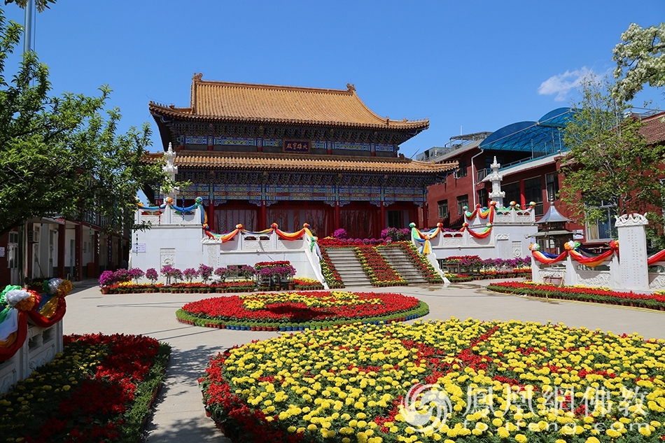 衡水华严禅寺百万鲜花供佛陀祈福世界疫情早日平息