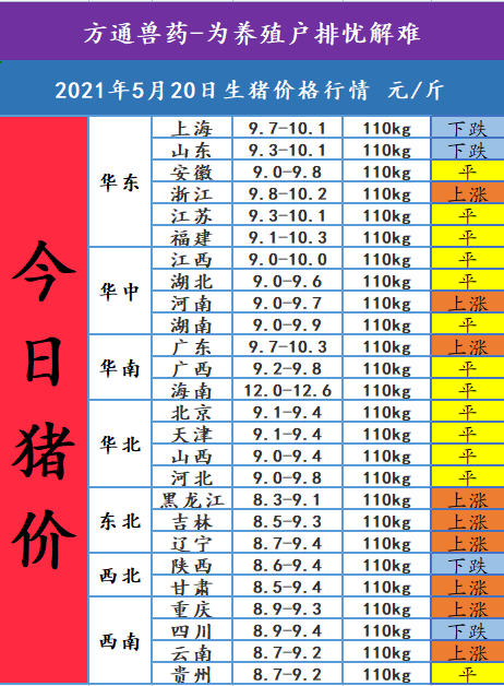 2021年5月20日今日猪价