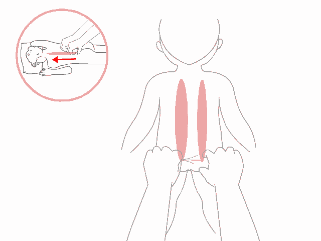 宝宝积食不用怕,小儿推拿来帮忙