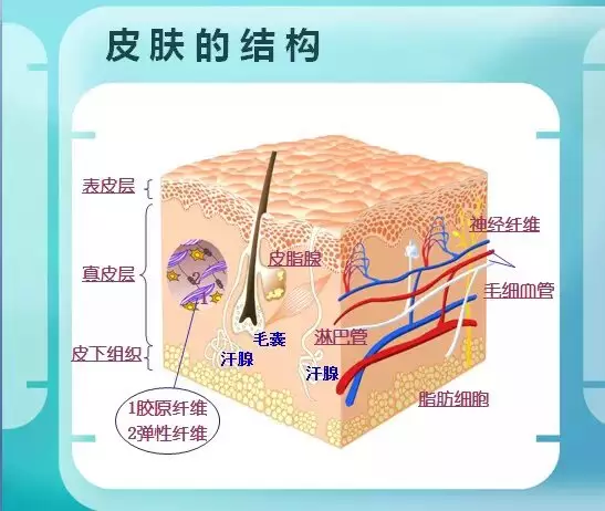 怀孕的人能用化妆品吗？ 凤凰网