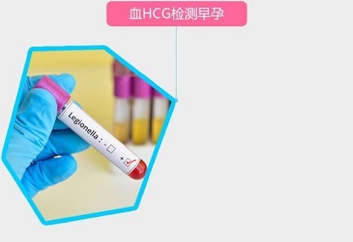 成都助孕中心（试管婴儿周期中，HCG在各个阶段的作用是什么?）