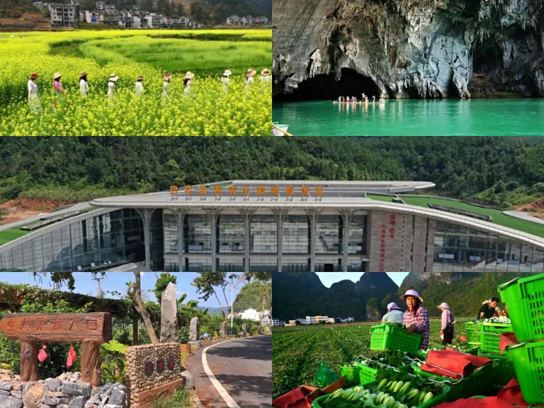 案例 | 发展特色产业 助力乡村振兴:广西巴马插上旅游的"翅膀"__凤凰网