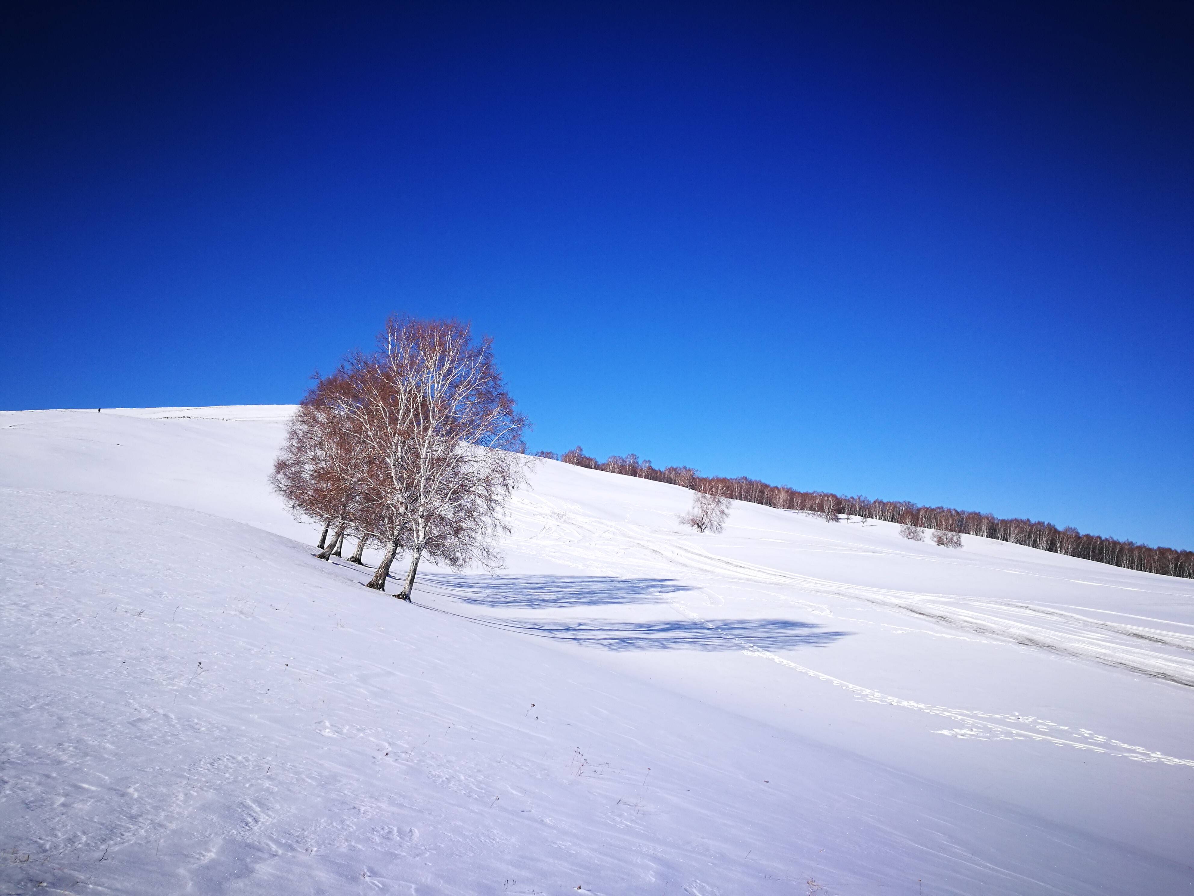 一定要去看乌兰布统冬季美丽草原下雪后的景色