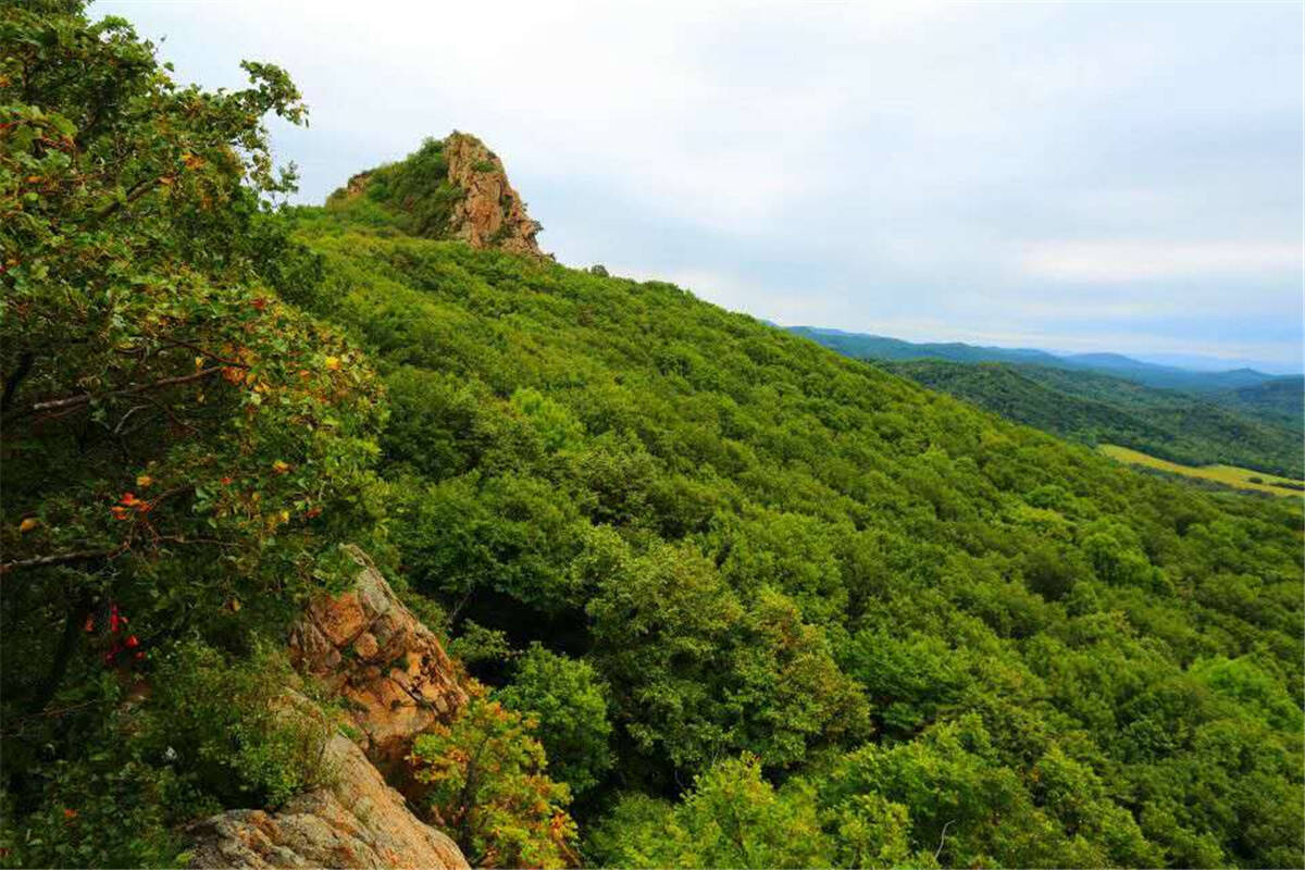 壹台山骆驼峰景区