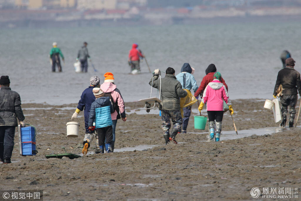 民众初春赶海 成桶挖各色海鲜