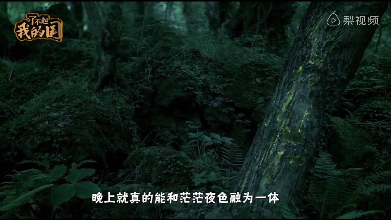 中国神奇隐身衣能让人"消失"