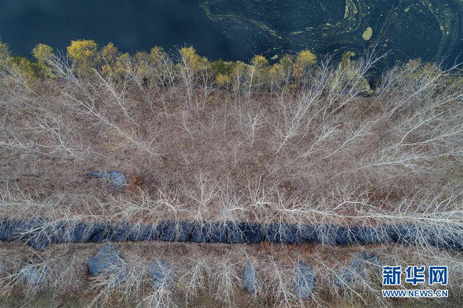 风情万种 航拍冬日洪泽湖湿地迷人景色(组图)_手机凤凰网