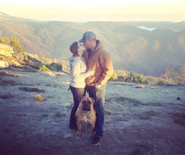 美国牛头獒长得彪悍,却有温柔心,守护新生弟弟