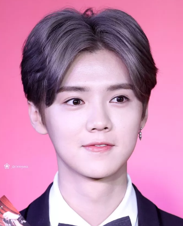 男神留中分,鹿晗呆萌吴亦凡如漫画王子,最后一