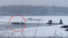 残忍！偷猎者用鞭炮吓唬野鹿 19头鹿被困冰湖后不幸溺亡