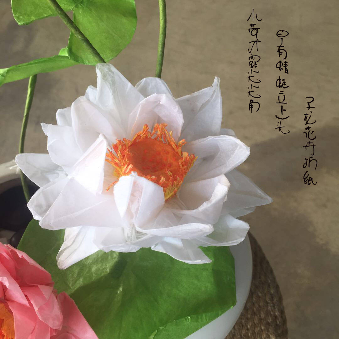 六瓣莲花折纸子龙花卉折纸