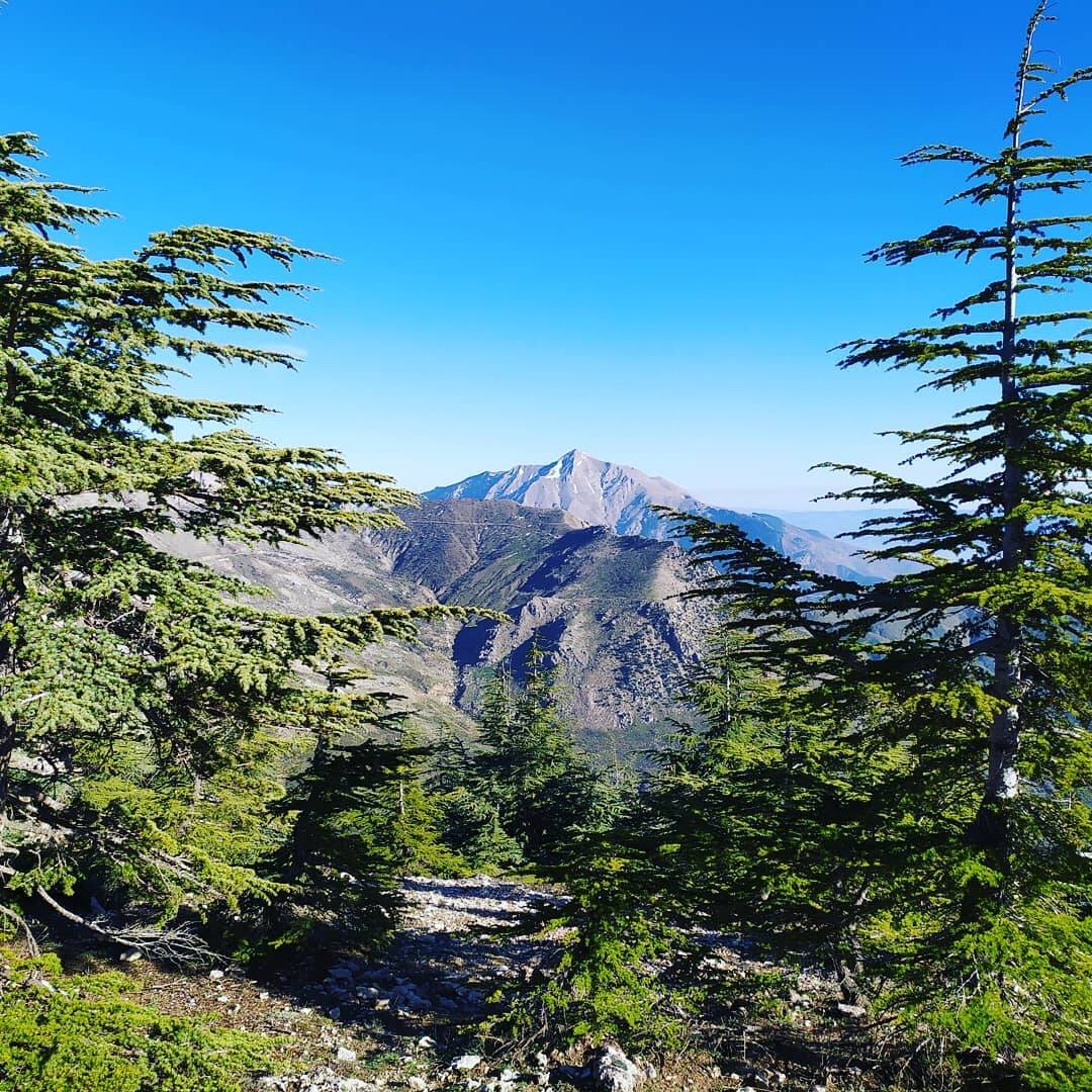 阿尔及利亚提基达山景