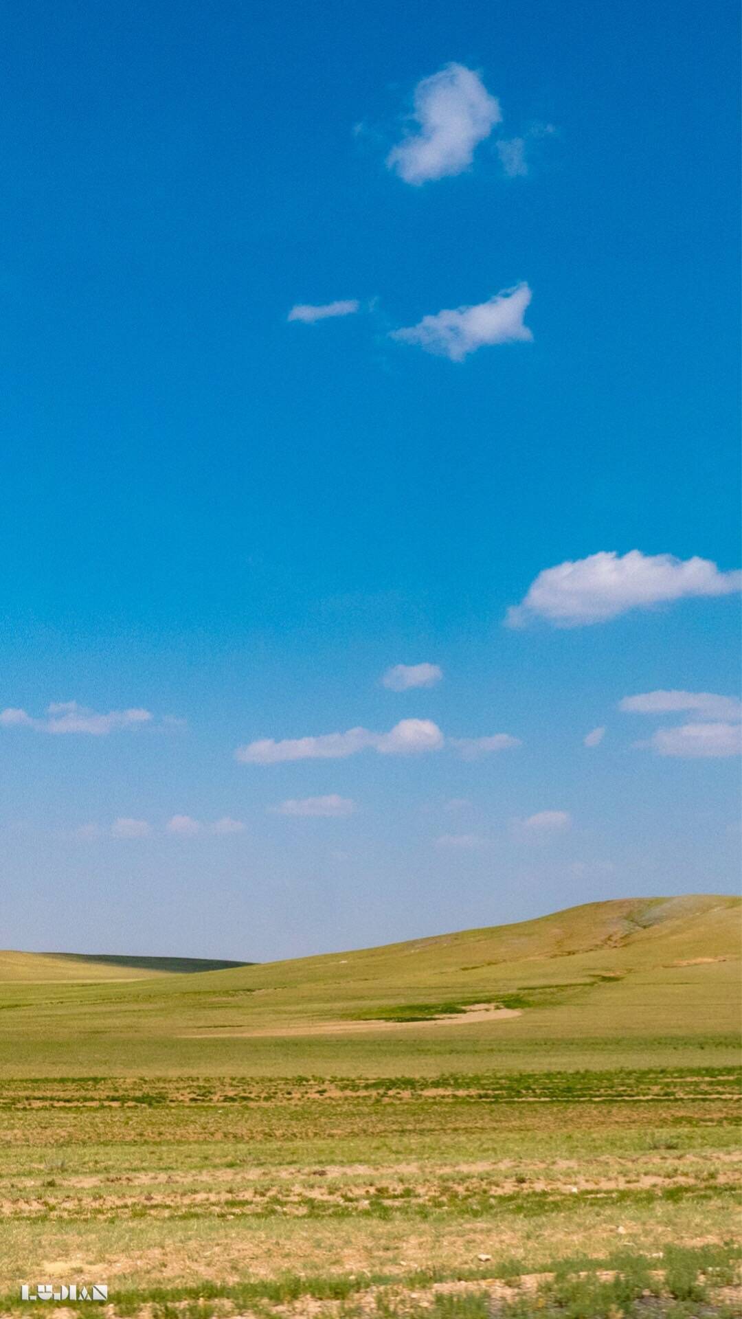 竖屏的草原风景,简单明了