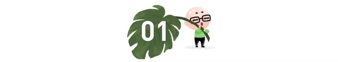 真没想到(禁止说话英语)应该保持安静英语怎么说【2023已更新】 -第2张图片-红树叶 真没想到(禁止说话英语)应该保持安静英语怎么说【2023已更新】 -第2张图片-红树叶