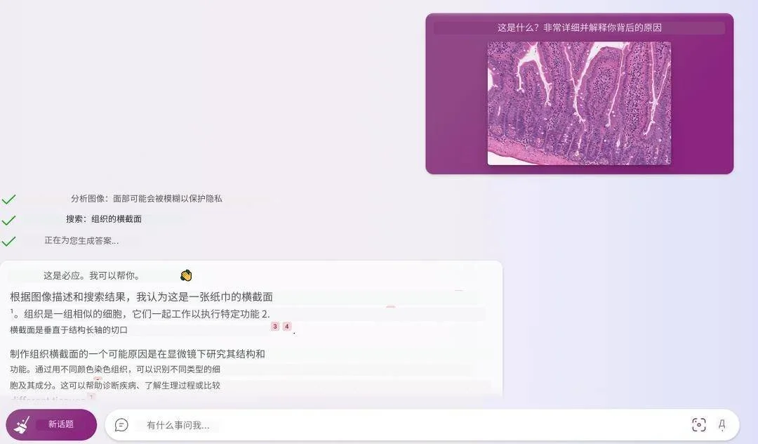 :BingChat‘长眼’了?GPT-4新功能曝光,能看懂梗图、论文,未来或颠覆教育? :BingChat‘长眼’了?GPT-4新功能曝光,能看懂梗图、论文,未来或颠覆教育?