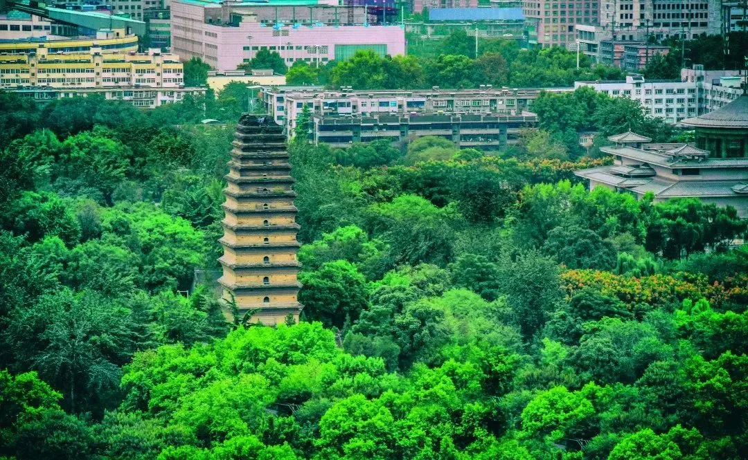 世界历史名城——西安 第5张 世界历史名城——西安 第5张