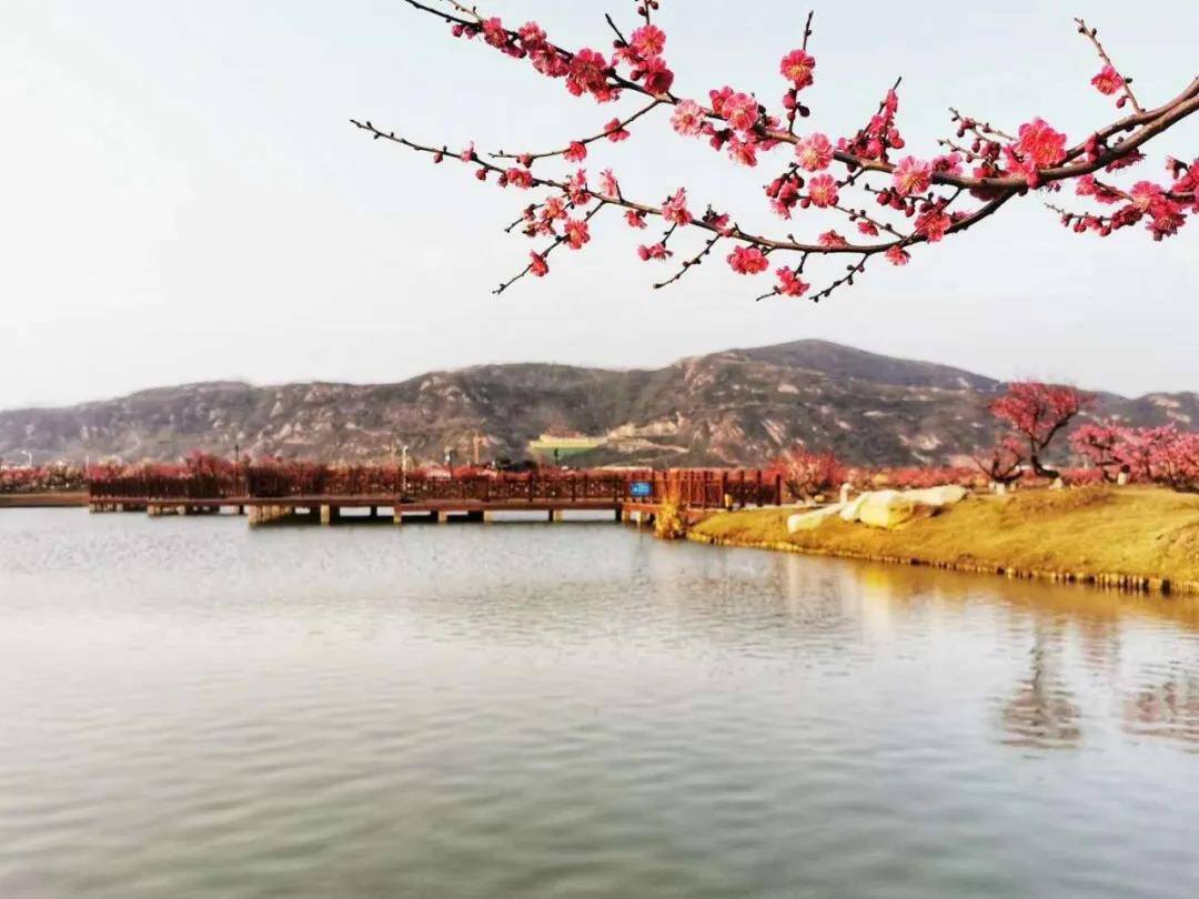 江苏省灌云县伊芦山景区风景优美历史悠久