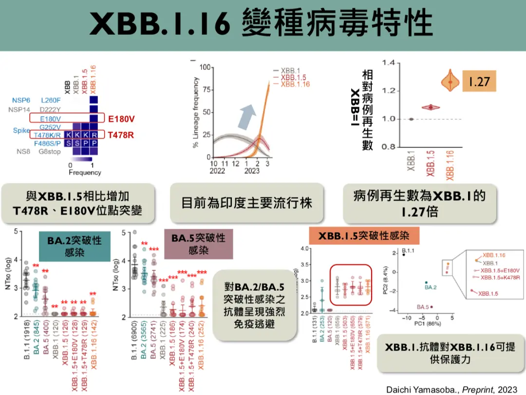 金冬雁解读香港疫情：每天数万人感染，XBB.1.16只是纸老虎？