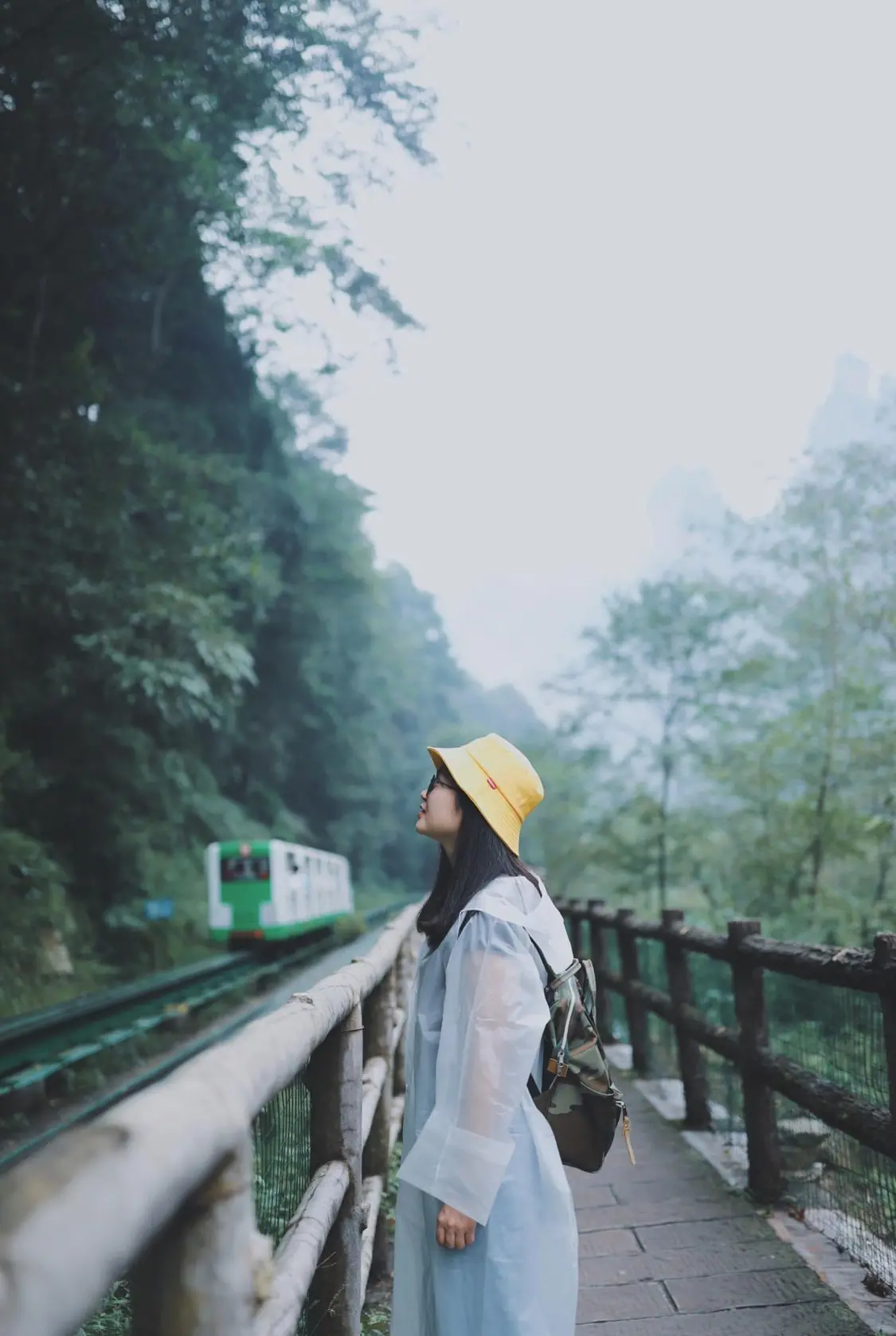 太疯狂了(张家界旅游攻略自助游4天)张家界旅游攻略自助游住宿2023已更新 第8张