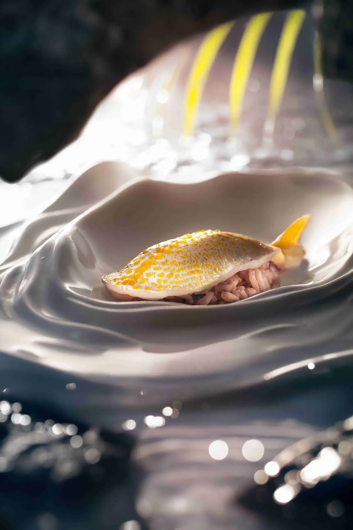 2022凤凰网美食盛典南部提名餐厅丨潮跃