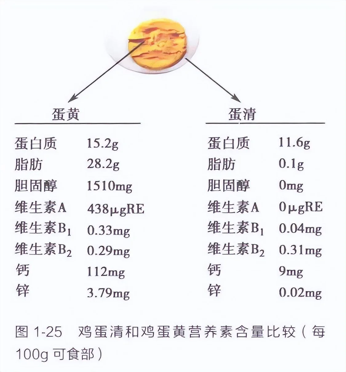 丰富的叶黄素、卵磷脂等营养成分，能够帮助维护记忆力，改善血管健康。02吃鸡蛋会升高胆固醇水平？许多心