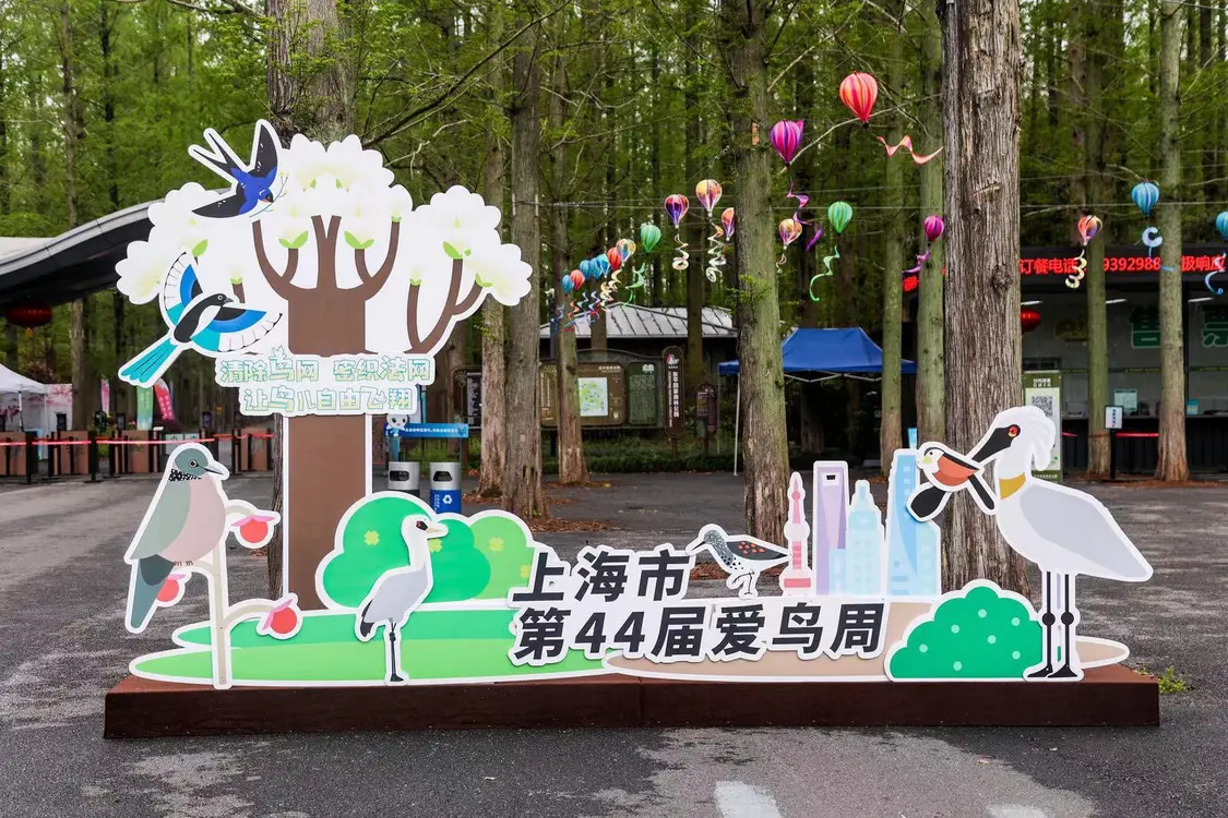 富士instax教育助力上海愛鳥周，共繪生態教育新畫卷