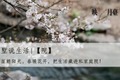 面朝阳光，春暖花开，把生活藏进私家庭院