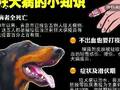 狂犬病患者去世前一天射精四五十次