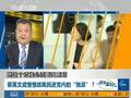专家：民进党提绝不搞法理台独 独派失势