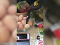 实拍大蛇潜入居民厨房张大口吞整只鸡蛋