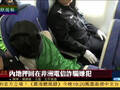 中国从非洲押回77名诈骗嫌犯 含45名台湾人