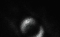 人类拍到第一张量子纠缠照片：孪生光子组成的指环