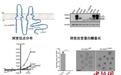 中国科学家发现人类新遗传疾病——“卵子死亡”