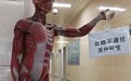 四川一医院用人体肌肉模型指路 网友:半夜不得吓死?