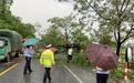泰和:狂风暴雨断大树 交警清障保畅通