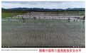 中国农业“黑科技”又火了 外国网友惊叹
