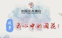 中国还没有国花,过半网友支持牡丹,你同意吗?