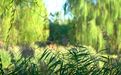 “疯狂”的厕所,一边“嗯嗯”一边看风景