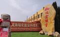 能量金字塔的"传销"迷局:售价过万 称能省油能治病