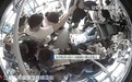 公交车上,男司机对着女乘客的脚后跟狠狠地咬了下去