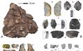 安徽发现30万年前古人类化石