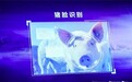 京东宣布进军养猪业 还推出了“猪脸识别”