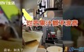 记者卧底知名奶茶店连呼恶心 店员:白给我我都不喝