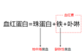 孕期贫血那点事儿