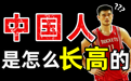 东亚人真的比西方人矮?我们还能长高吗?打破中国人身高之谜